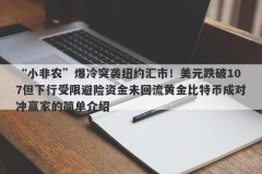 “小非农”爆冷突袭纽约汇市！美元跌破107但下行受限避险资金未回流黄金比特币成对冲赢家的简单介绍
